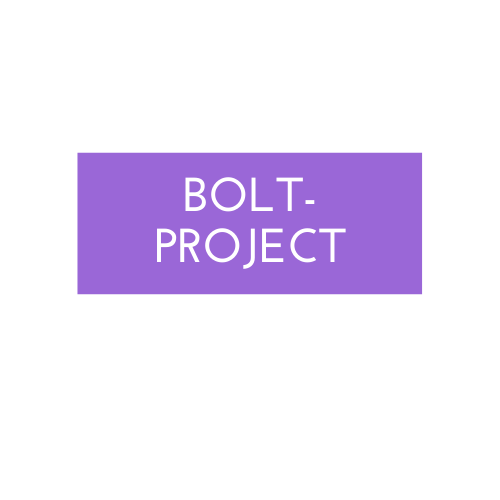 Bolt Project
